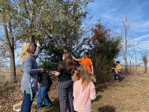 Leaf hunt